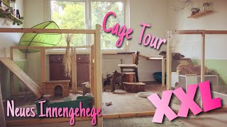 Neues XXL Innengehege für Kaninchen  Cage Tour [upl. by Alled]