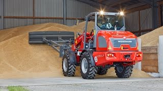 Weidemann – Radlader 4080LP Getreide aufschieben [upl. by Auohc]