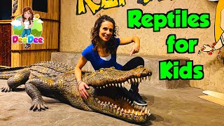 Reptiles for Kids  Educational Videos [upl. by Peursem]