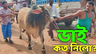 Bhai Koto Nilo Gabtoli Gorur Haat 2024  Qurbani Cow Price 2024  Cow video  part19 [upl. by Berget]