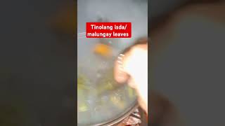 Tinolang isdamalungay leaves cooking ulampinoyrecipe shortvideo foodie [upl. by Nerta]