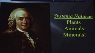 Linnaeus lecture 2011  Mineral Surfaces Geochemical Complexities and the Origins of Life [upl. by Nylorac]