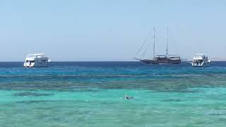 Отель Club El Faraana Reef 4 Egypt Red Sea Египет Шарм эль Шейх [upl. by Lavine878]