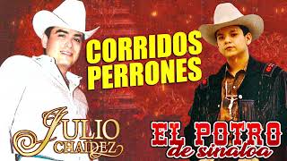 Julio Chaidez El Potro De Sinaloa  20 CORRIDOS CHINGONES CON BANDA Y NORTEÑO [upl. by Benzel747]