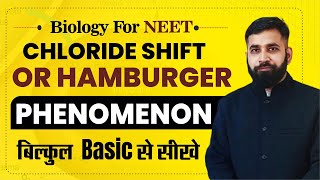 Chloride shift or Hamburger phenomenon NEET BIOLOGY [upl. by Kyd579]