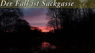 Krimi Hörspiel  der Fall ist Sackgasse [upl. by Anuahs]