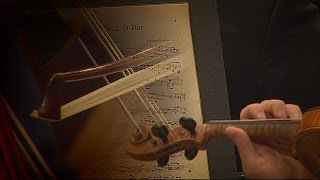 Atenas cae bajo el hechizo de Brahms y la Filarmónica de Viena  musica [upl. by Azaria]