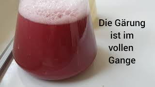 Die Alkoholische Gärung [upl. by Adialeda]