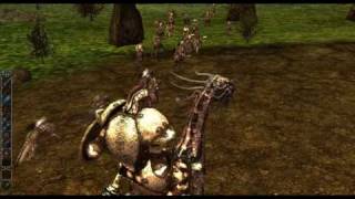 DARKFALL ONLINE  Large Group PVP EPIC VID [upl. by Trab]