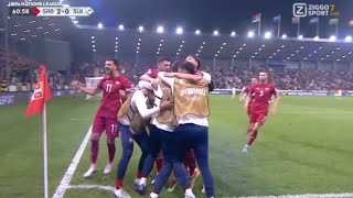 Aleksandar Mitrovic Goal Serbia vs Switzerland 20 All Goals and Extended Highlights [upl. by Senior759]