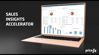 Sales Insights Accelerator [upl. by Ardnasella581]