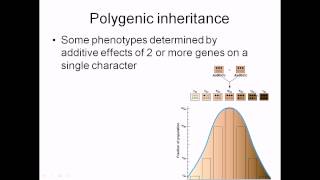 Polygenic inheritance [upl. by Garrett]