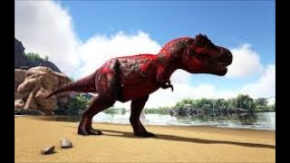 ARK Survival Evolved found a T rex and gonna try to tame it 0 [upl. by Ellary10]