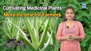 Govt promotes Cultivation of Medicinal Plants for Farmer’s Benefit amp Green India [upl. by Yruy]