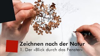 Zeichnen nach der Natur – 1 Der „Blick durch das Fenster“ [upl. by Kirbie]