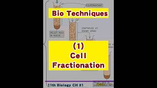 Cell Fractionation  Biology Techniques  Quick Learn techniques [upl. by Rasmussen]