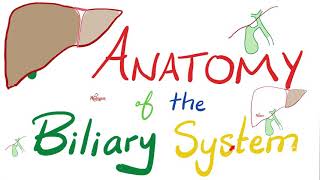 Anatomy of the Biliary System 🤮  Quick Review [upl. by Crissie787]