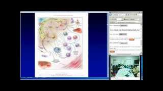 Immunodulatory Therapy for Allergic Disorders Lanny Rosenwasser MD [upl. by Oakman784]