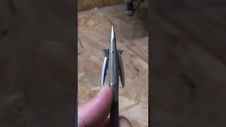 BEAST broadhead is epic broadhead short [upl. by Eras]