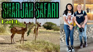 SHARJAH SAFARI EXPERIENCE❤️ Part 1️⃣ SHARJAH SAFARI PARK UAE🇦🇪 Yeny Love❤️ [upl. by Andres]