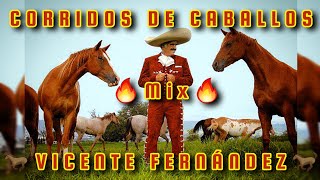 🔥MIX VICENTE FERNANDEZ🔥 CORRIDOS DE CABALLOS 🏇 🐎 🐴 [upl. by Gustavo]