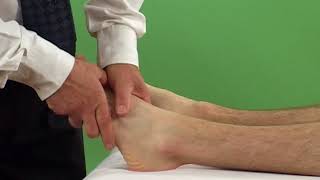 Anterior talofibular ligament test [upl. by Thetes]