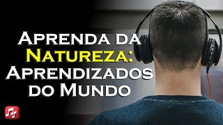 Aprendizados do Mundo Natural  MÚSICAS PAR SEU DIARA INSPIRA [upl. by Emlen]