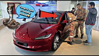 💢ULAR TEDUNG ABANG BOMBA TESLA😅CELORENG BOMBA [upl. by Jody]