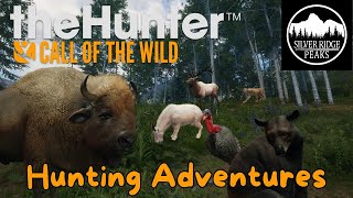 Hunting in Silver Ridge Peaks  theHunter Call of the Wild [upl. by Adimra612]