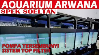 AQUARIUM ARWANA SPEK SOELTAN TERLENGKAP BERGARANSI [upl. by Aimerej]