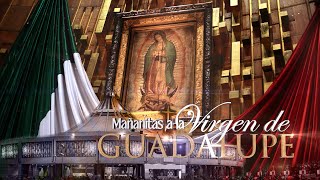 MAÑANITAS A LA VIRGEN DE GUADALUPE 2024  ANESMA TV [upl. by Yenot]