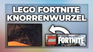 Lego Fortnite Knorrenwurzeln finden  Knochenwurzeln Tutorial [upl. by Lefty]