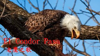 El Condor Pasa Andy Williams 老鷹之歌【中英字幕】 [upl. by Gaven]