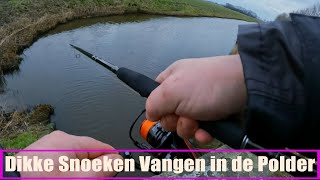 Snoekvissen in de polder met Softbaits Pachtige vangsten [upl. by Sara]