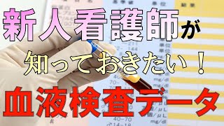 新人看護師が知っておきたい血液検査データの見方 [upl. by Learsiy]