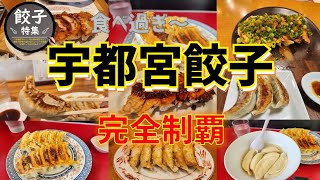 【 宇都宮餃子 】特集 名店 餃子を食べ尽くす！ ひとり旅 vol64 [upl. by Deacon]