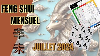 FENG SHUI 2024 Juillet  énergies du MOIS étoiles volante 3 victoires etc [upl. by Tebazile]