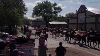 Eatons ranch horse drive through Sheridan WY [upl. by Falito]