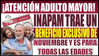 INAPAM lanza un beneficio exclusivo en noviembre para el público en general [upl. by Oiramaj396]