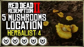 WHERE TO FIND 5 MUSHROOMS EXACT LOCATION  HERBALIST 4  RED DEAD REDEMPTION 2 [upl. by Faxun944]