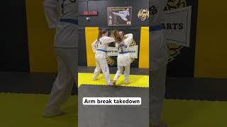 Set Sparring  Arm break takedown counter by Enora with Anika at Kmans Martial Arts [upl. by Winou]