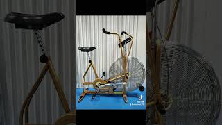 Schwinn Airdyne [upl. by Leiru429]