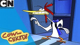 Cow and Chicken  Becoming Rich and Famous  Cartoon Network [upl. by Base]