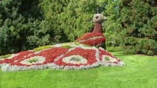 Mainau  Bodensee  Blumenwalzer [upl. by Sousa]