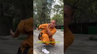 Shaolin Secrets service 🏋️ shorts viralshort viralvideo [upl. by Ailemrac446]