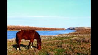 Chant cosaque  Дон [upl. by Zoe]