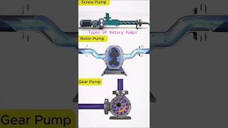 Types of Rotary Pumps Explained shorts trending rotary [upl. by Nerha]