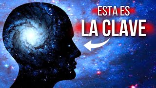 La Extraña Hipótesis del Universo Consciente [upl. by Skelton]