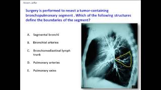 Defining a bronchopulmonary segment [upl. by Ellenahs]