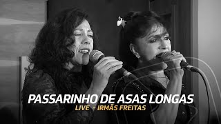 Passarinho de Asas Longas  Irmãs Freitas Ouriana Ana Lúcia e Luciana  Live [upl. by Naicul99]